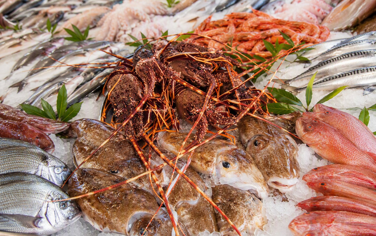 Il pescato fresco del giorno